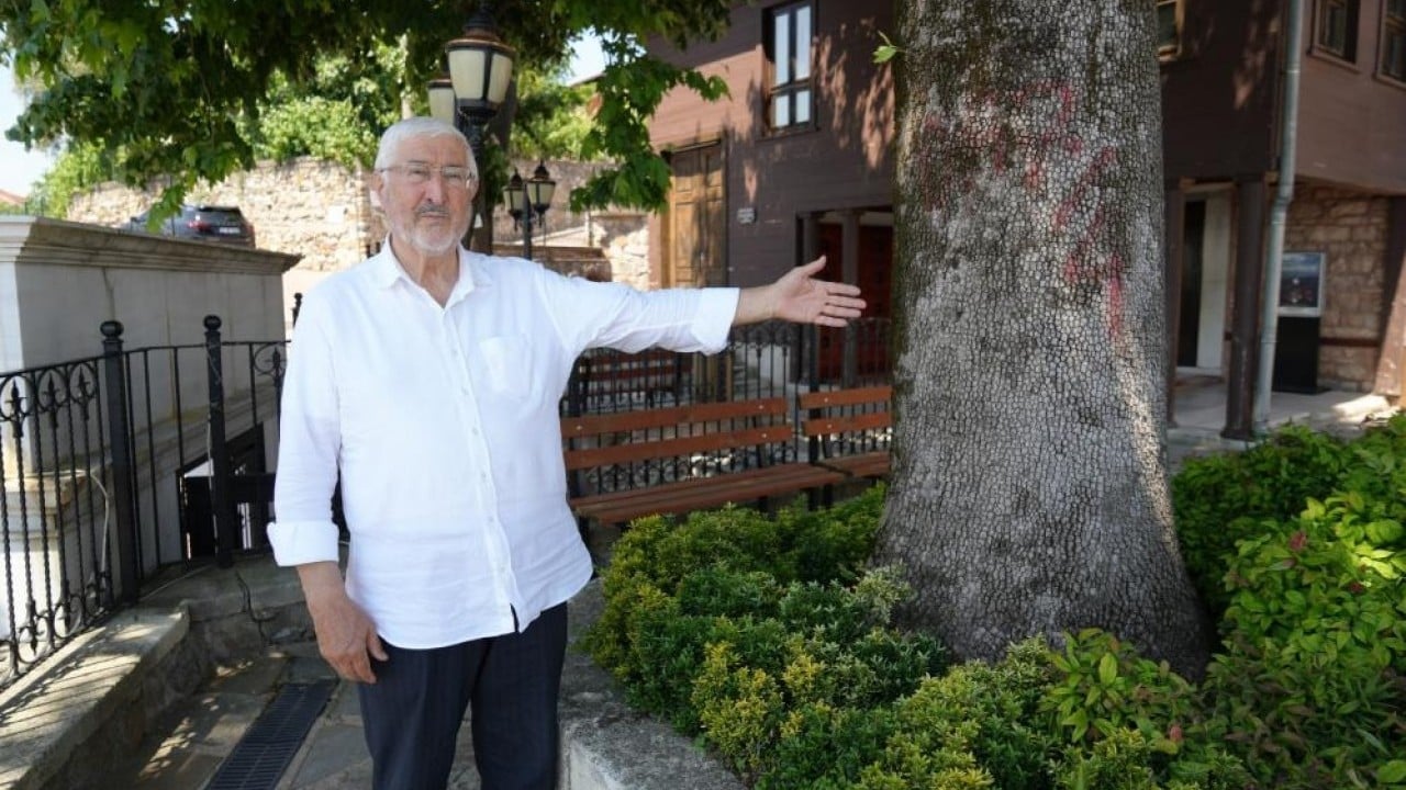Foto - 694 yıllık caminin sembol çınarı 6 asırdır hiçbir şey onu yıkamadı