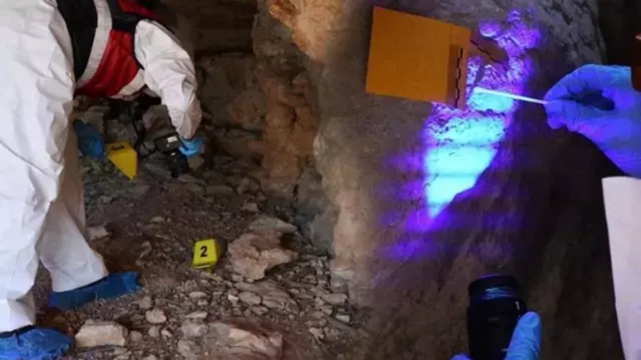 Foto - 7 defa geri döndü! Mağaradaki korkunç sır tam 10 yıl sonra çözüldü