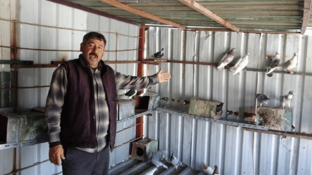 Foto - 7 yaşındayken kuzeni hediye etmişti! Sayısını 200'e çıkardı