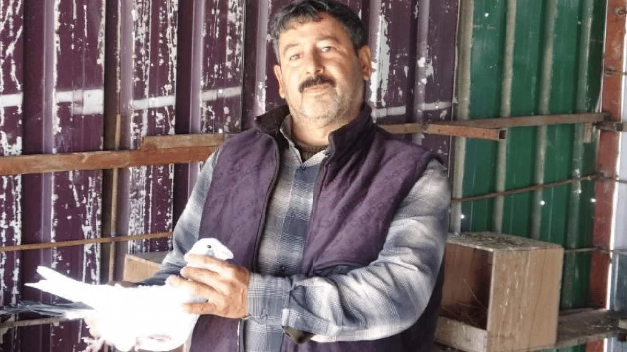 Foto - 7 yaşındayken kuzeni hediye etmişti! Sayısını 200'e çıkardı