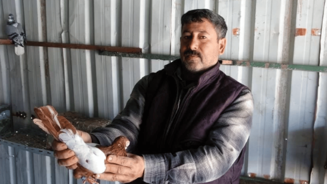 Foto - 7 yaşındayken kuzeni hediye etmişti! Sayısını 200'e çıkardı