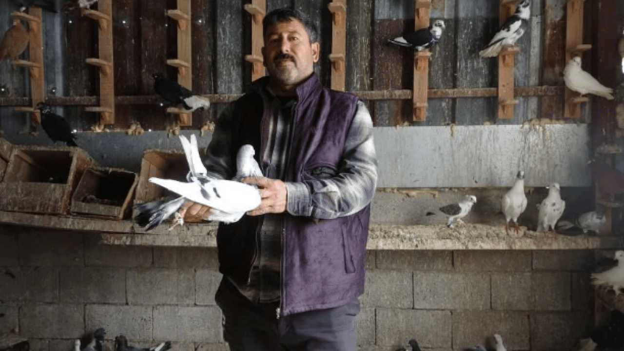 7 yaşındayken kuzeni hediye etmişti! Sayısını 200'e çıkardı