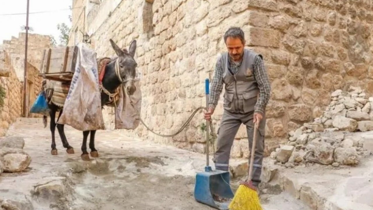 Foto - 7 yıl hizmet ettiler: Belediyede çalışan eşşekler emekli oldu! 