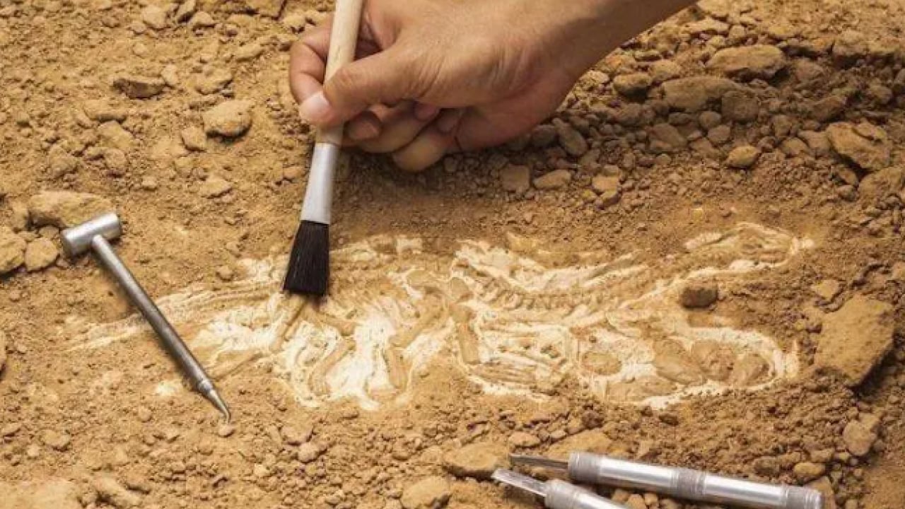 Foto - Tarih baştan yazılacak: 700 yıllık keşif her şeyi değiştirdi! 