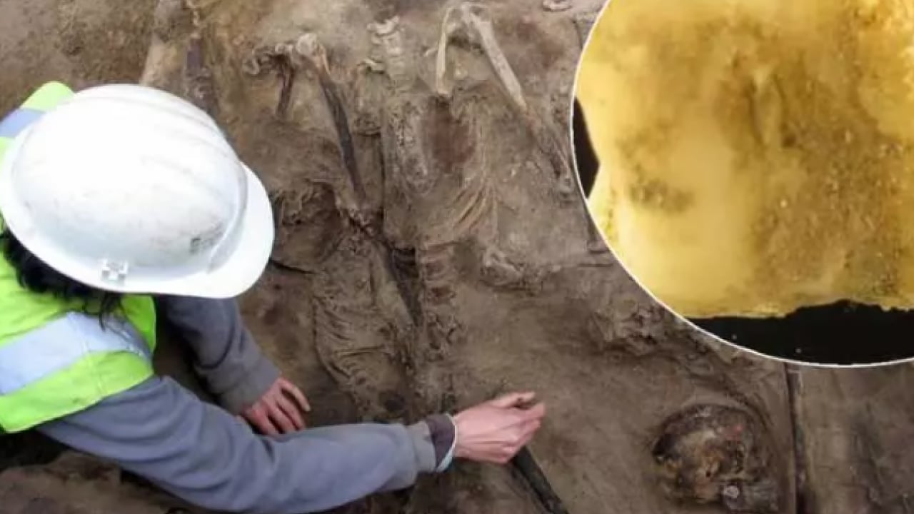 Tarih baştan yazılacak: 700 yıllık keşif her şeyi değiştirdi! 