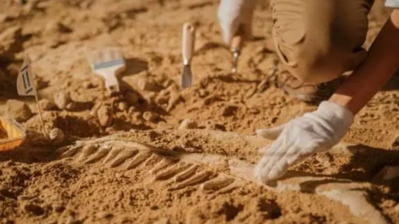 Foto - Tarih baştan yazılacak: 700 yıllık keşif her şeyi değiştirdi! 