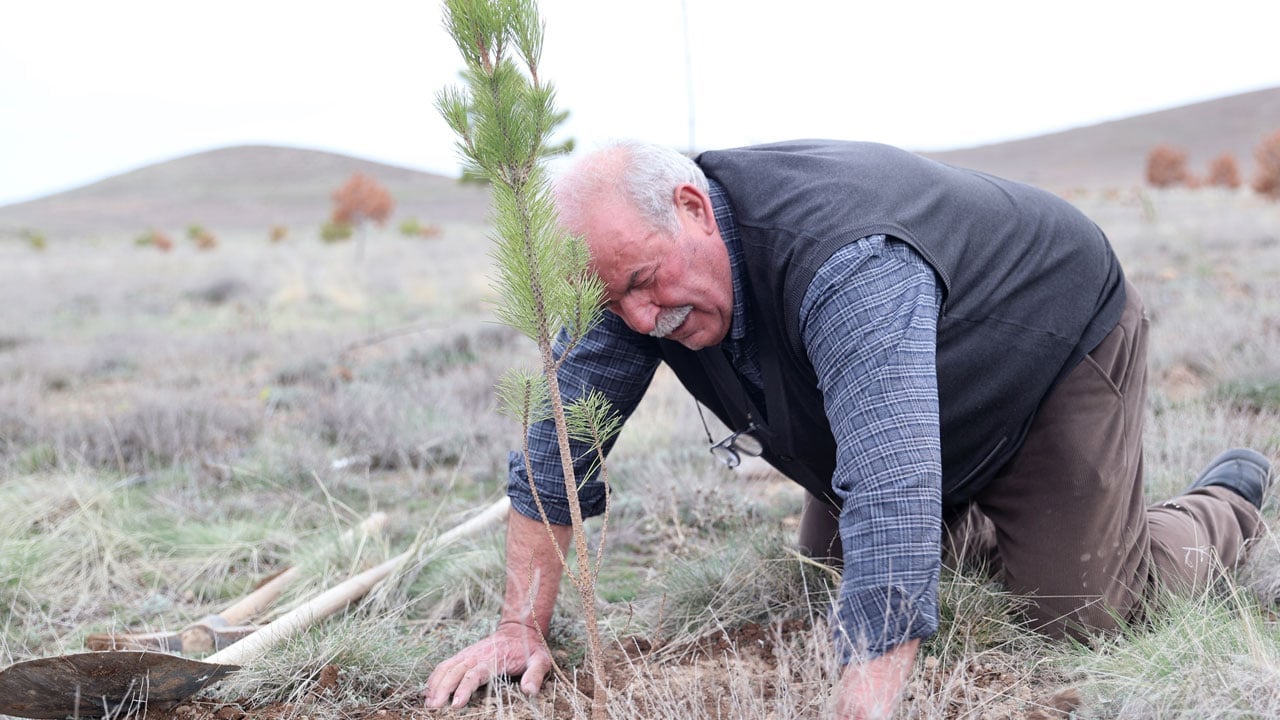 Foto - 71 yaşındaki Erdoğan Amca 12 bin fidan dikti! Bir hayalle başladı, bozkırı yeşile çevirdi
