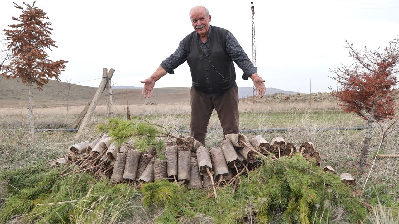 Foto - 71 yaşındaki Erdoğan Amca 12 bin fidan dikti! Bir hayalle başladı, bozkırı yeşile çevirdi
