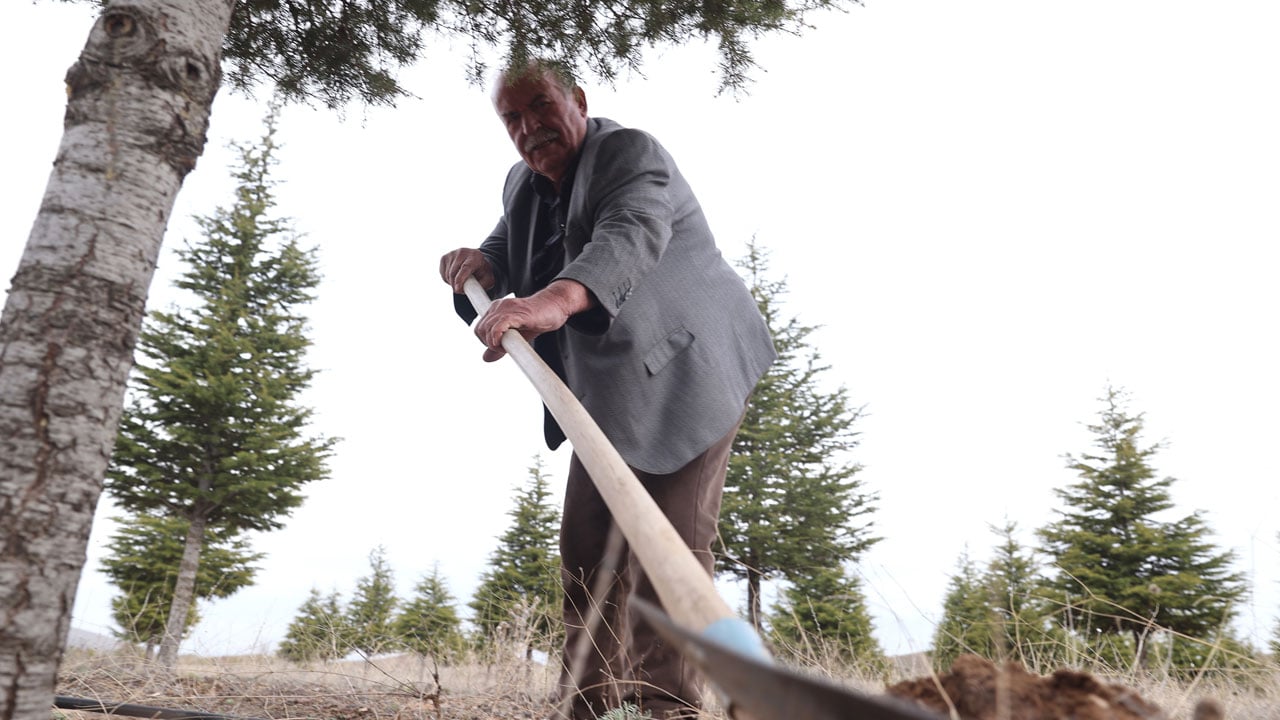 Foto - 71 yaşındaki Erdoğan Amca 12 bin fidan dikti! Bir hayalle başladı, bozkırı yeşile çevirdi