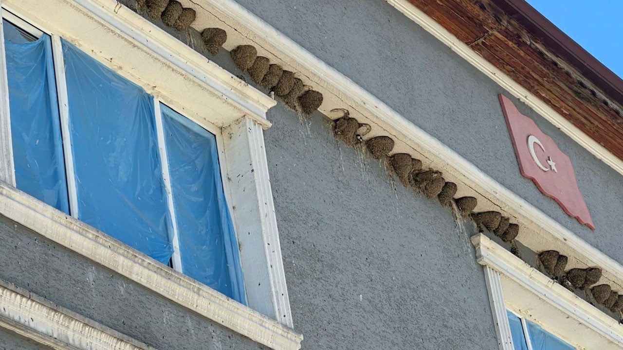 73 yuvalı ev, 100 yuvalı cami! Burada yaz boyu pencere açamıyorlar