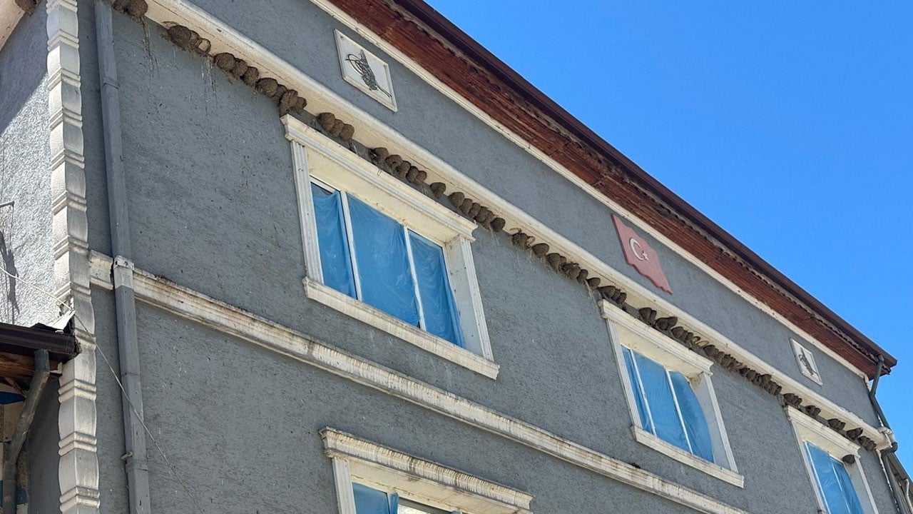 Foto - 73 yuvalı ev, 100 yuvalı cami! Burada yaz boyu pencere açamıyorlar