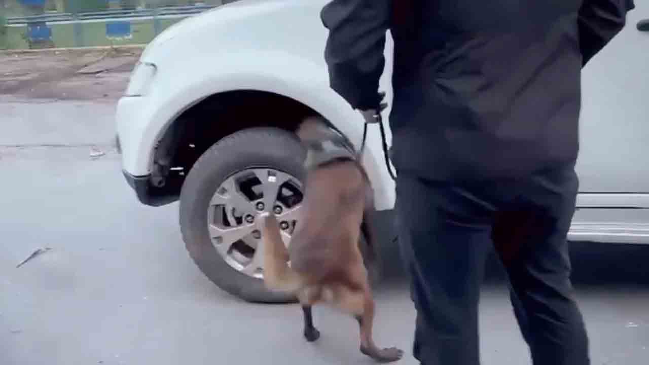 Foto - 75 ilde uyuşturucu tacirlerinin nefesini kesen operasyon! Bin 319 şüpheli yakalandı, 638’i tutuklandı!