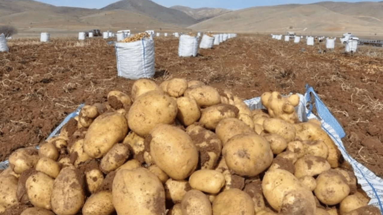 Foto - % 75'inde pestisit mi? En çok kimyasal içeren sebze ve meyve belli oldu: Şifa mı zehir mi?