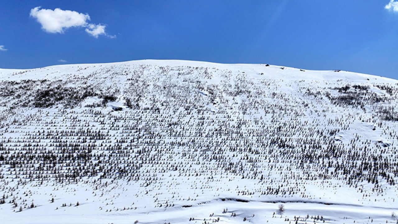 Foto - 8 bin futbol sahası büyüklüğünde Erciyes dağı'nda 7 milyon fidan toprakla buluştu