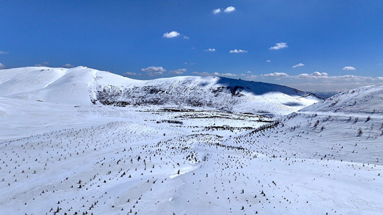 Foto - 8 bin futbol sahası büyüklüğünde Erciyes dağı'nda 7 milyon fidan toprakla buluştu