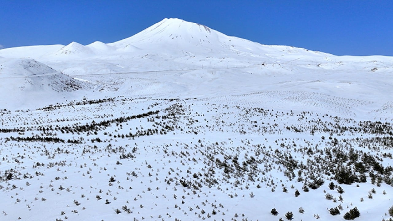 Foto - 8 bin futbol sahası büyüklüğünde Erciyes dağı'nda 7 milyon fidan toprakla buluştu