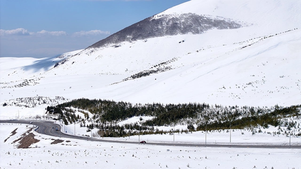 Foto - 8 bin futbol sahası büyüklüğünde Erciyes dağı'nda 7 milyon fidan toprakla buluştu