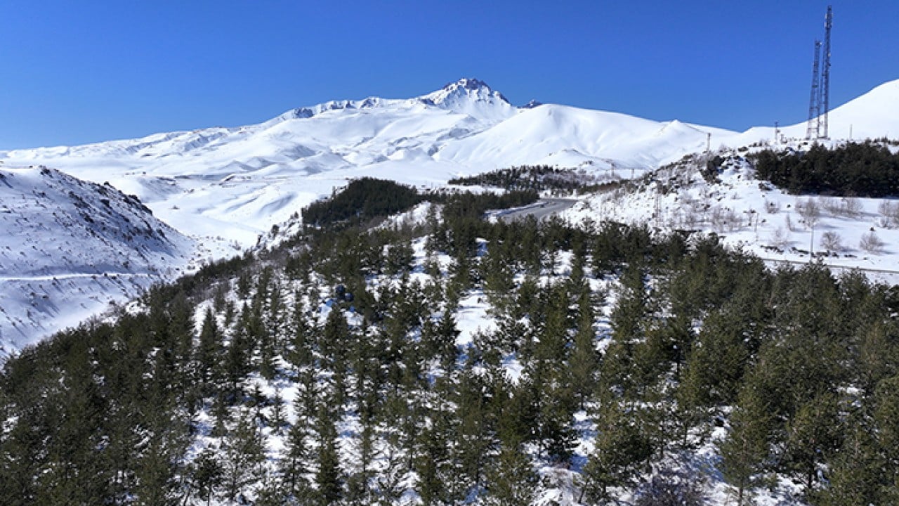Foto - 8 bin futbol sahası büyüklüğünde Erciyes dağı'nda 7 milyon fidan toprakla buluştu