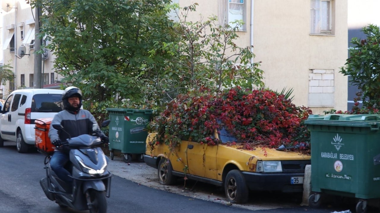 Foto - 8 yıldır park halindeydi! İşte sarmaşıklı otomobilin hikâyesi…