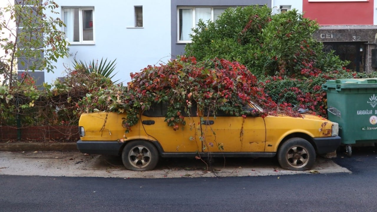 8 yıldır park halindeydi! İşte sarmaşıklı otomobilin hikâyesi…