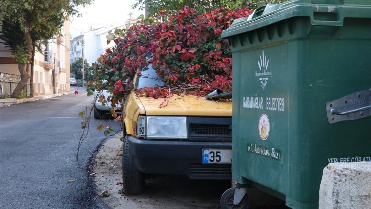 Foto - 8 yıldır park halindeydi! İşte sarmaşıklı otomobilin hikâyesi…