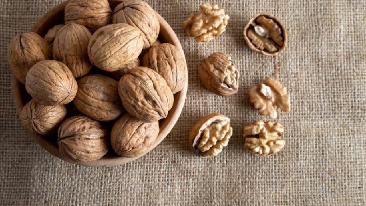 Foto - 90 yaşında bile zehir gibi hafızanız olacak! Alzheimer'den korunmanın sırrı açıklandı