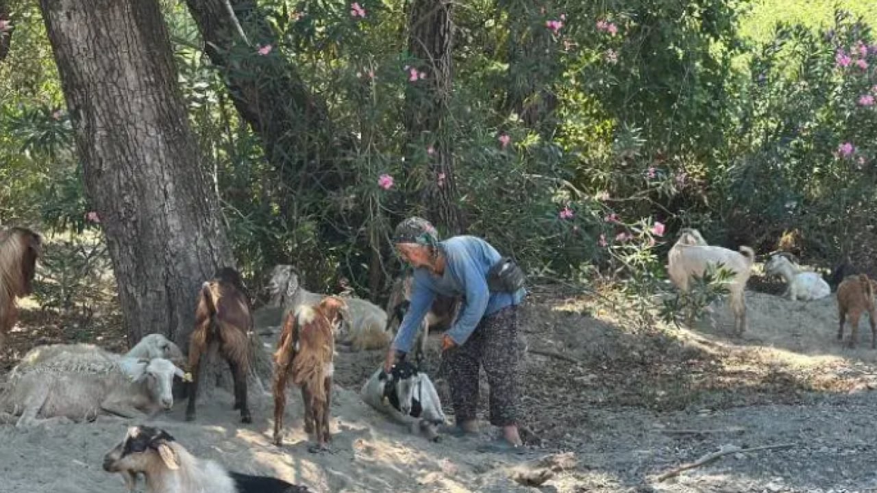 Foto - 90 yaşındaki çobanı gören hayret ediyor: Sağlığının sırrını açıkladı!