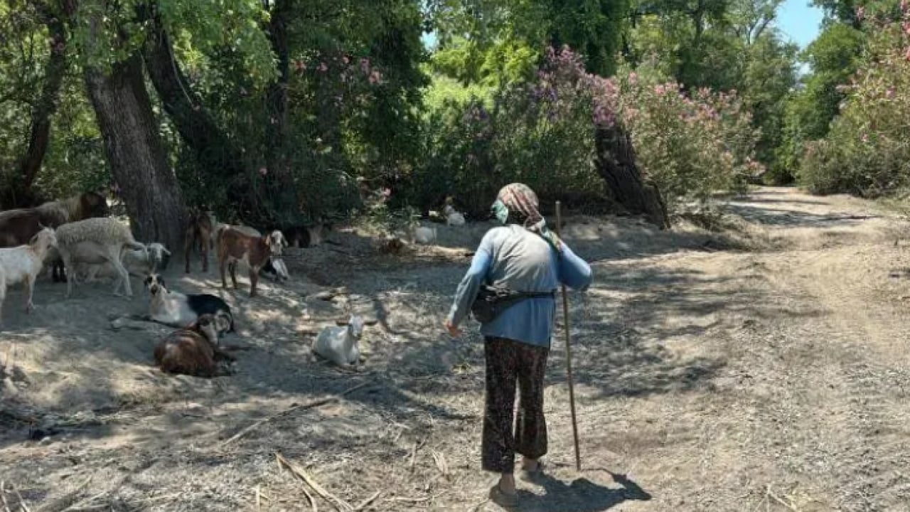 Foto - 90 yaşındaki çobanı gören hayret ediyor: Sağlığının sırrını açıkladı!