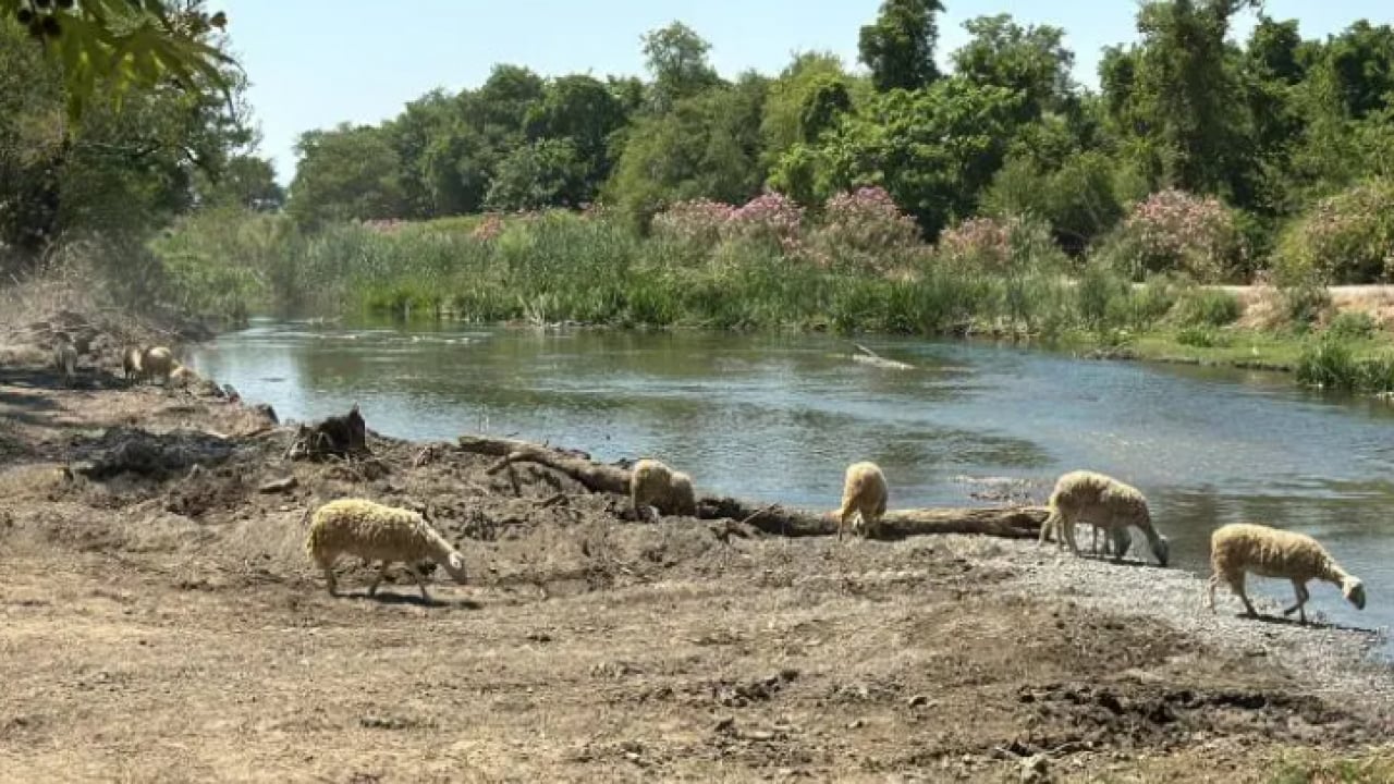 Foto - 90 yaşındaki çobanı gören hayret ediyor: Sağlığının sırrını açıkladı!