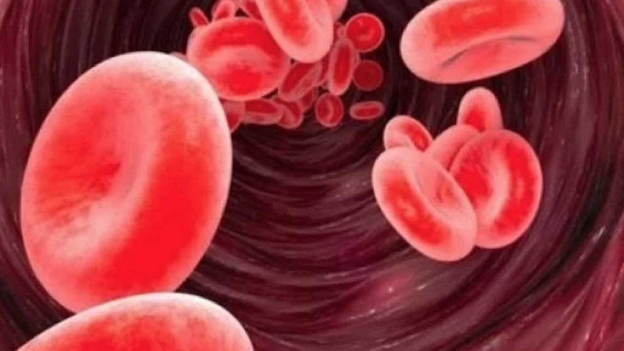 Foto - A Grubu mu, B mi, AB mi, O mı? Kan grubun karakterini açıklıyor