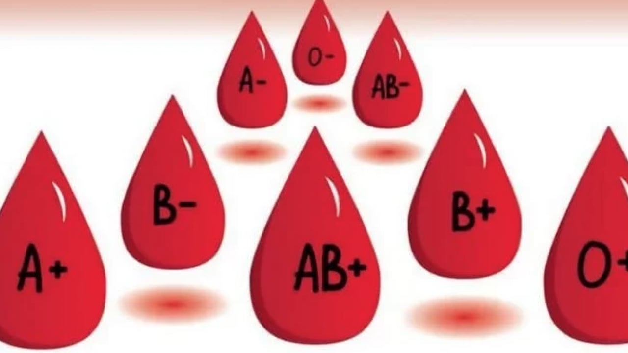 Foto - A Grubu mu, B mi, AB mi, O mı? Kan grubun karakterini açıklıyor