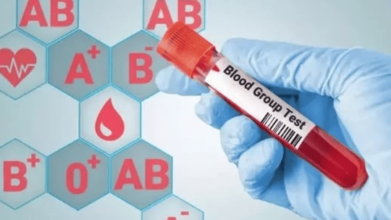 Foto - A Grubu mu, B mi, AB mi, O mı? Kan grubun karakterini açıklıyor