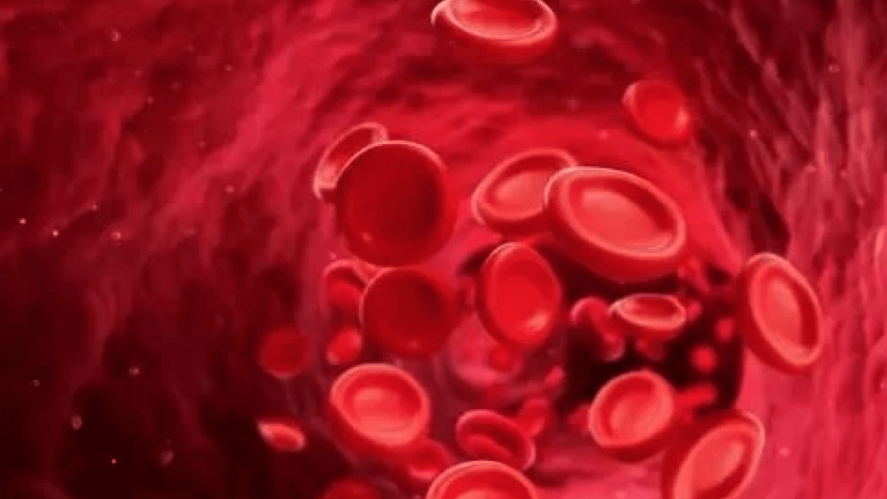 Foto - A Grubu mu, B mi, AB mi, O mı? Kan grubun karakterini açıklıyor