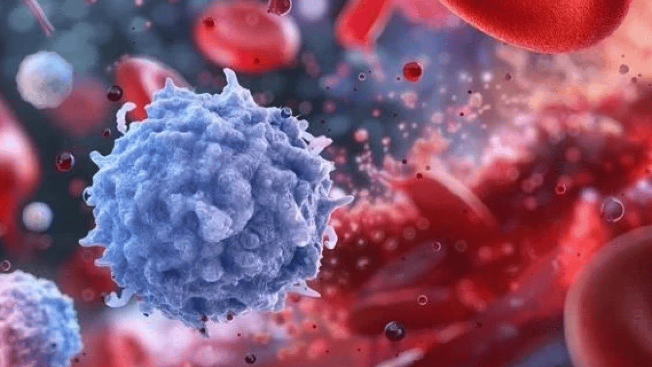 A Grubu mu, B mi, AB mi, O mı? Kan grubun karakterini açıklıyor