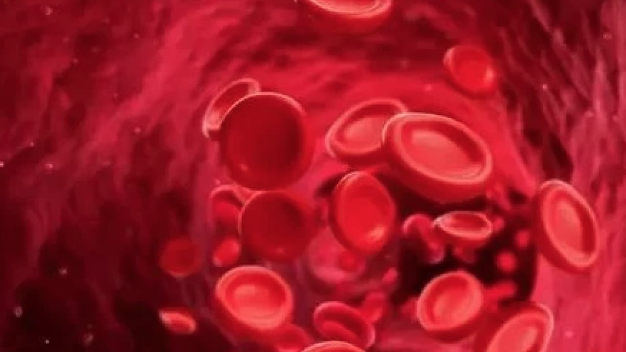 Foto - A Grubu mu, B mi, AB mi, O mı? Kan grubun karakterini açıklıyor