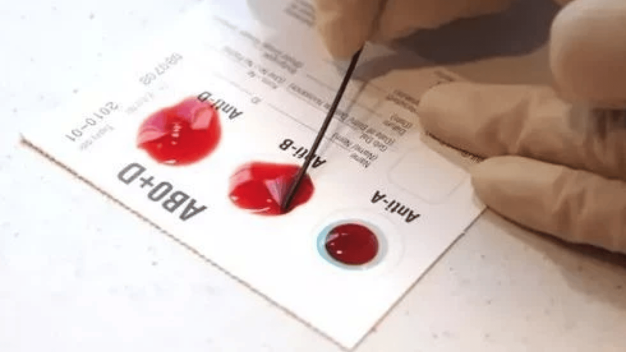 Foto - A Grubu mu, B mi, AB mi, O mı? Kan grubun karakterini açıklıyor