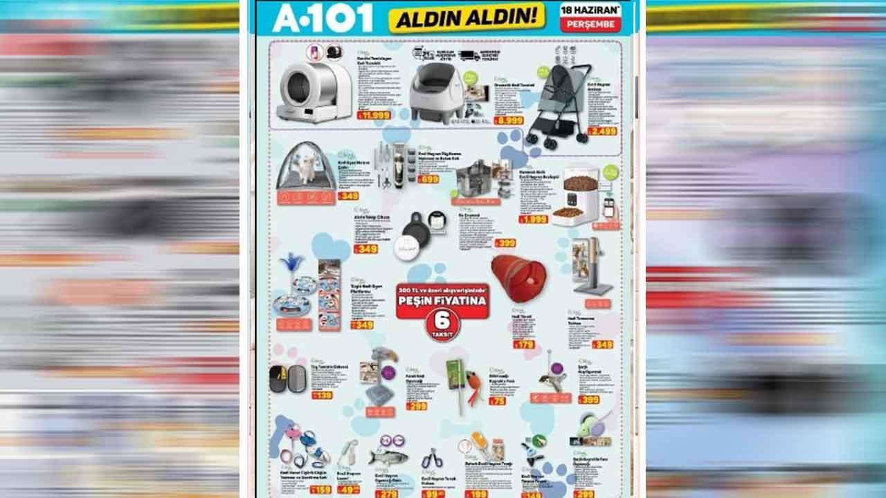 Foto - A101'den indirim şov! Tarih verildi, kaçıranlar 'ahlar vahlar' edecek