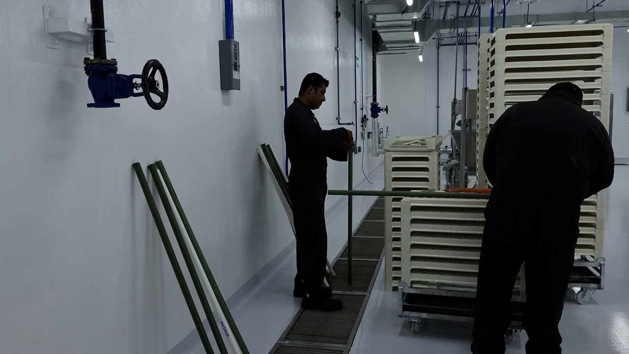 Foto - ABD o ülkeyle özel sinek üretiyor! Sebebine bakın