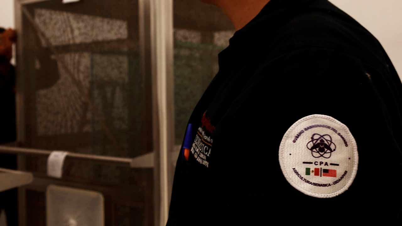 Foto - ABD o ülkeyle özel sinek üretiyor! Sebebine bakın