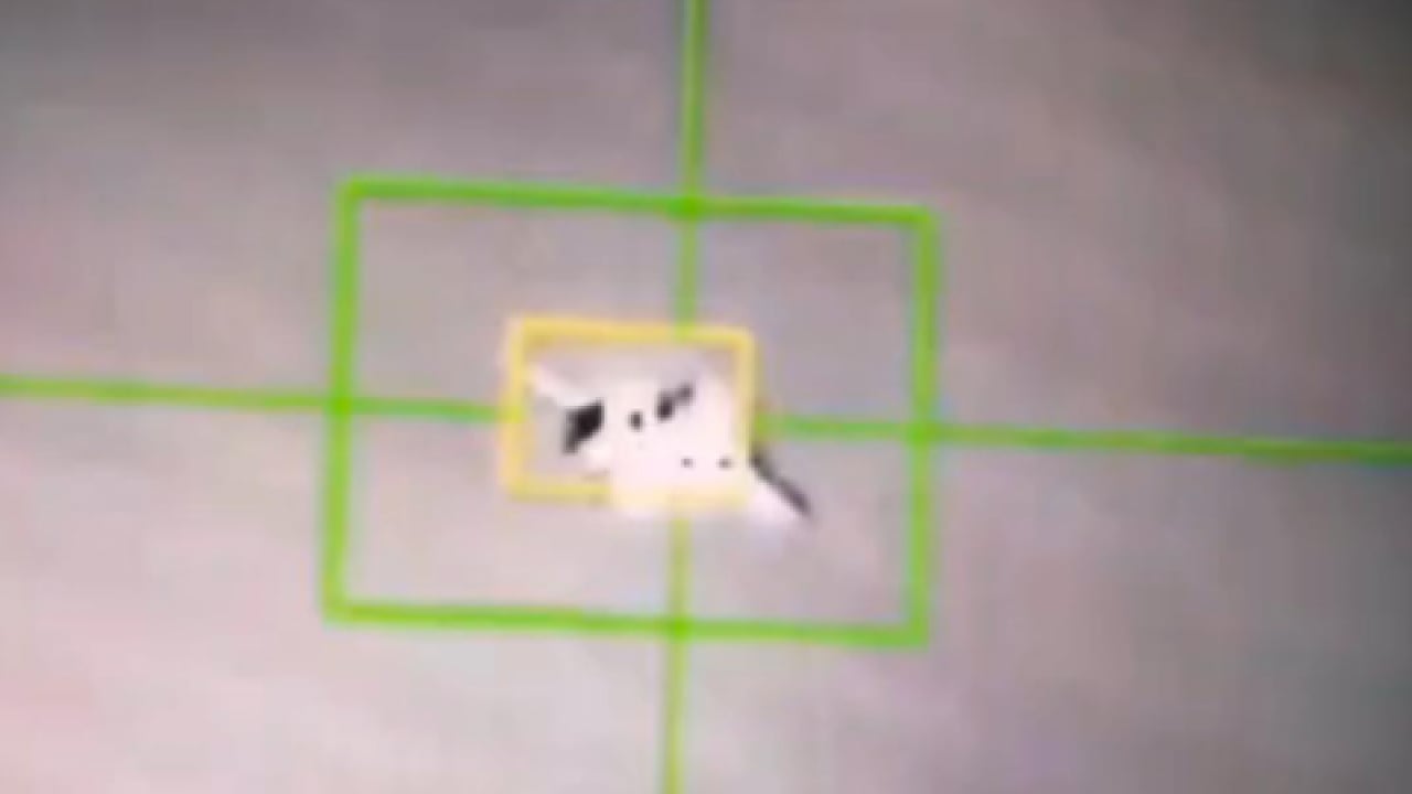 Foto - ABD vatandaşlarına böyle kazık atacak: Alın size düşen uçağın pilotu