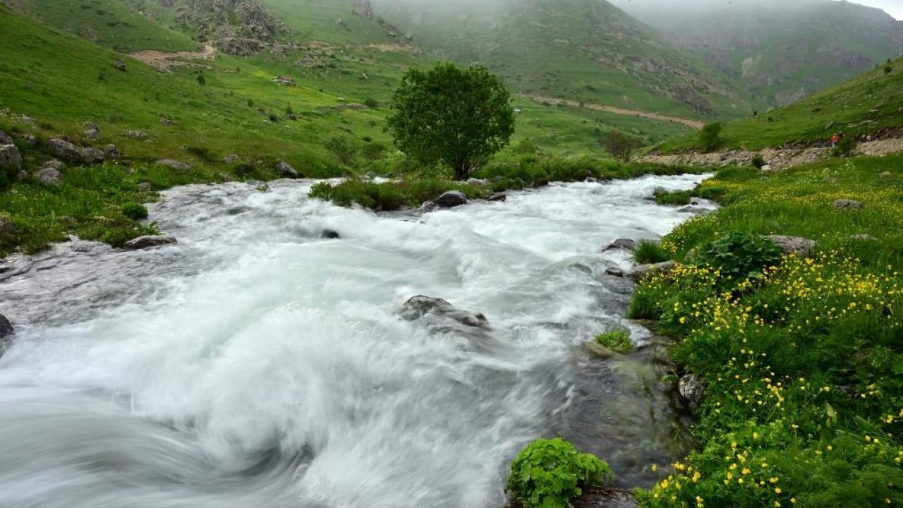 Foto - Abdalmusa Zirvesi’nde bahar Türkiye’nin Alpleri Dulağa Yaylası çiçek açtı