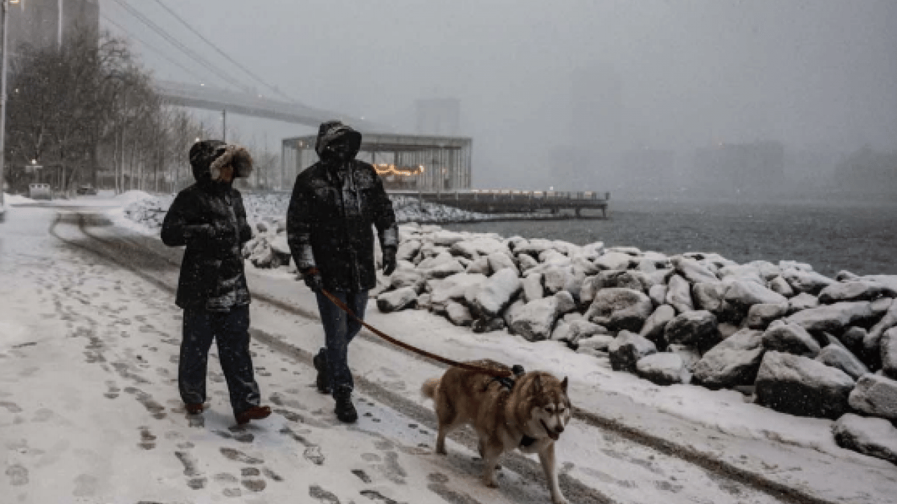Foto - ABD’de kırmızı alarm! Acil durum verildi! Okullar tatil edildi