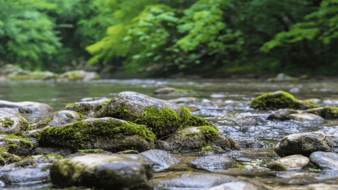 Foto - ABD'den dehşete düşüren Türkiye senaryosu: 'Adana, Mersin, İstanbul ve Diyarbakır'da yaşanacak' diyerek duyurdular
