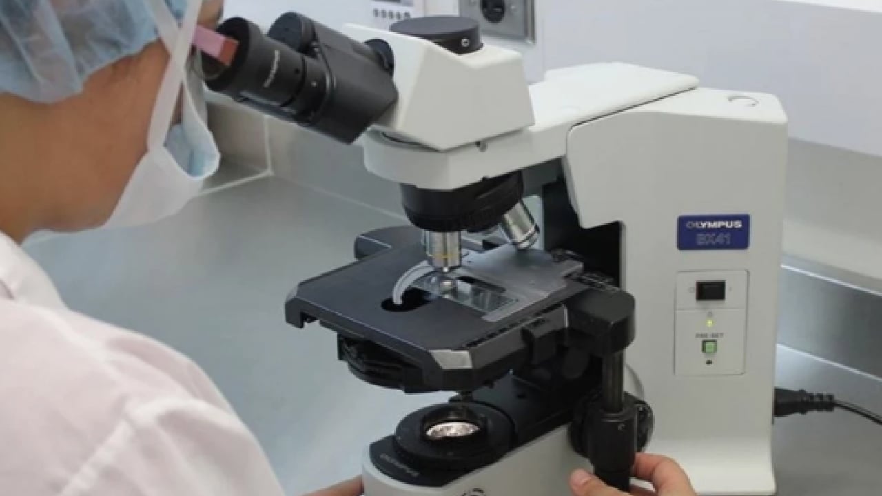 Foto - ABD’li ilaç şirketi TSI, Türkiye yatırımında ezber bozacak: GSYO’larda yeni paradigma...