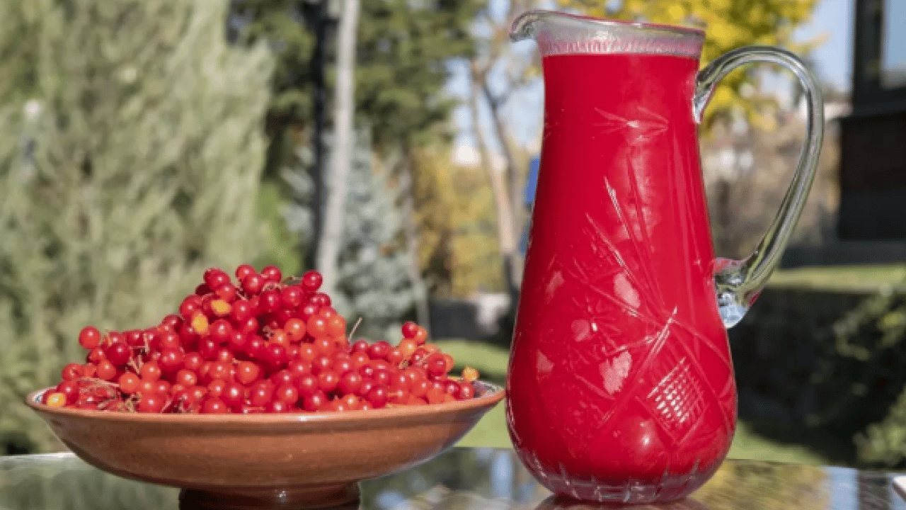 ABD'li uzman açıkladı: Doğal kalp ilacı Kayseri'de!