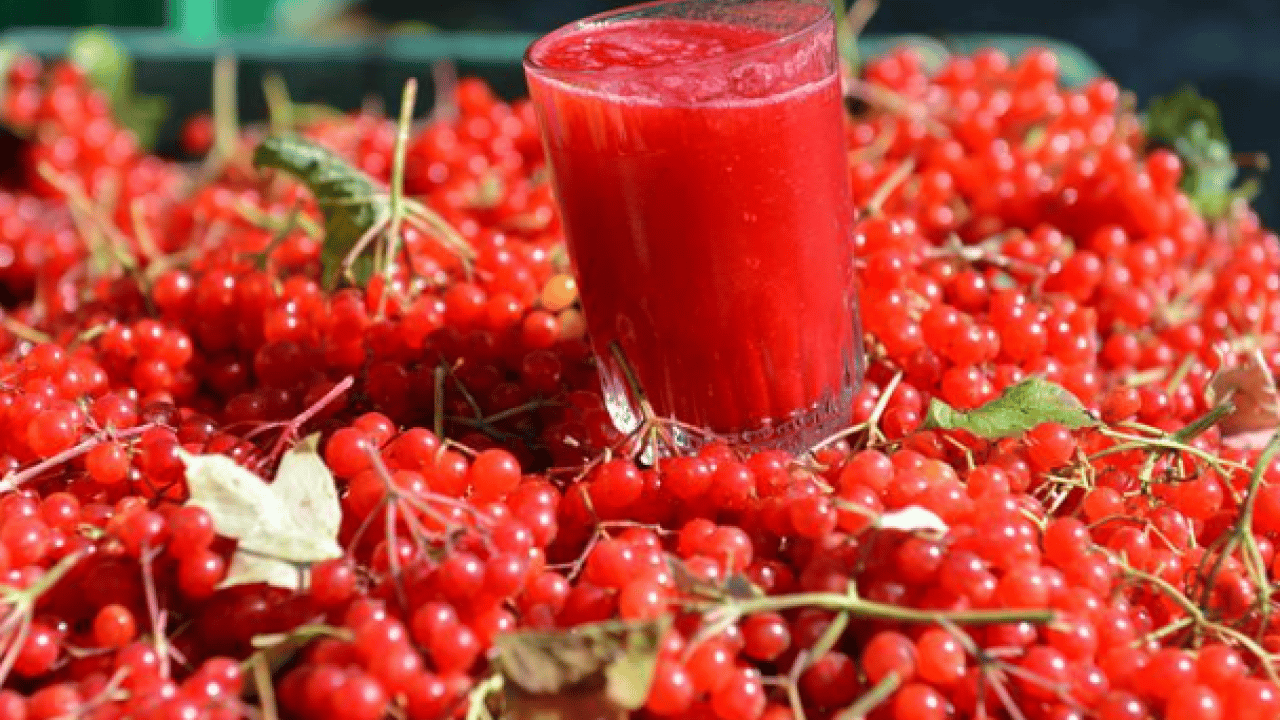 Foto - ABD'li uzman açıkladı: Doğal kalp ilacı Kayseri'de!