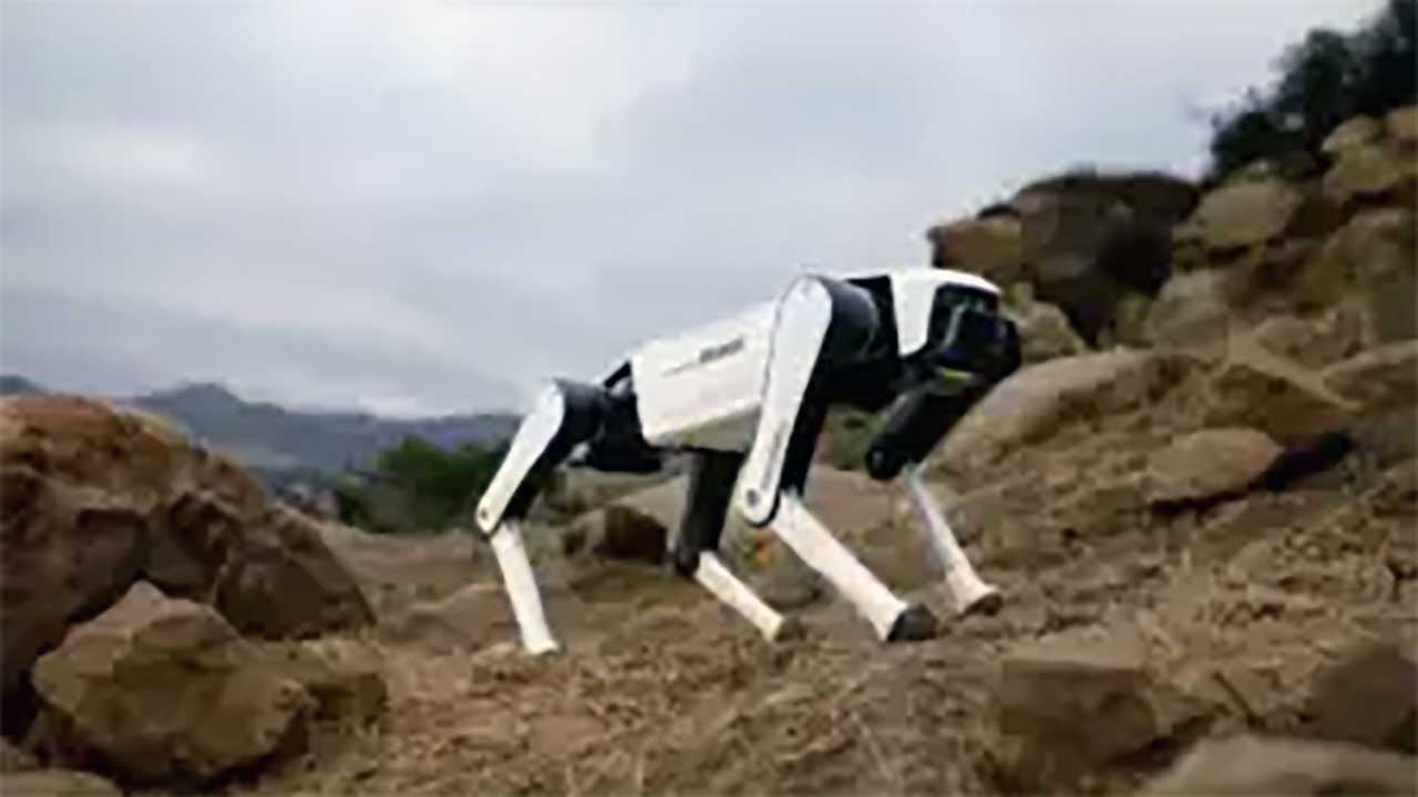 Foto - ABD'nin işi zor! 1.000 dolara robot köpek satıyorlar