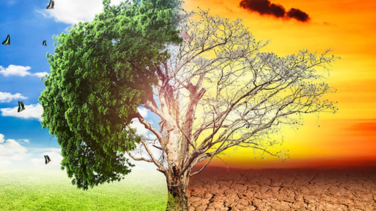 Foto - Abdullah Sakallı Türkiye'yi uyardı, sözleri gündeme damga vurdu! Maalesef iklim dünya çapında 900 milyon kişiyi tehdit ediyor! 