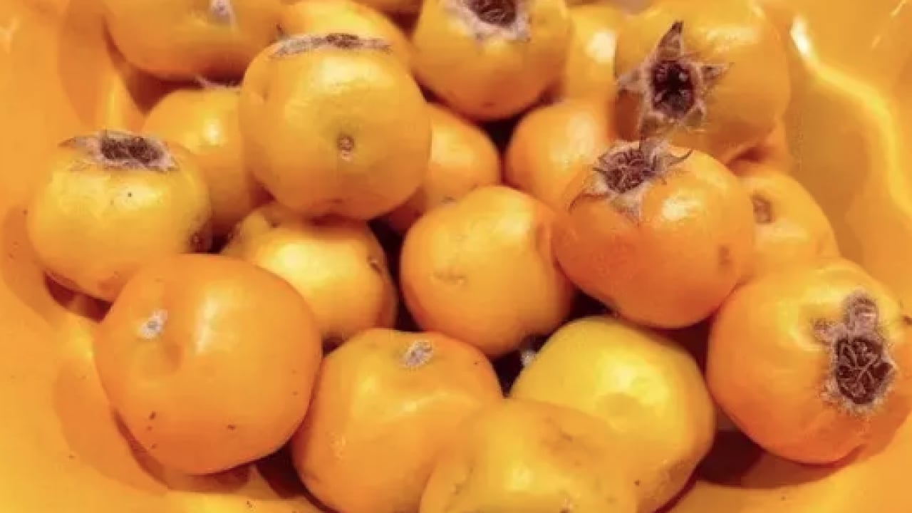 Foto - Aç karnına bir avuç yerseniz... Tabağına diz diz tüket ve hastalıklardan kurtul! 