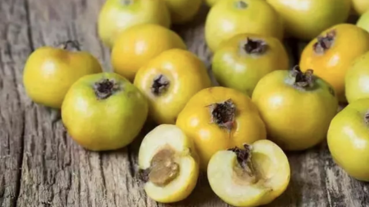 Foto - Aç karnına bir avuç yerseniz... Tabağına diz diz tüket ve hastalıklardan kurtul! 